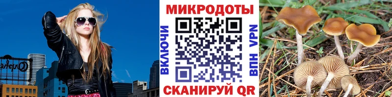 Псилоцибиновые грибы мицелий Осташков
